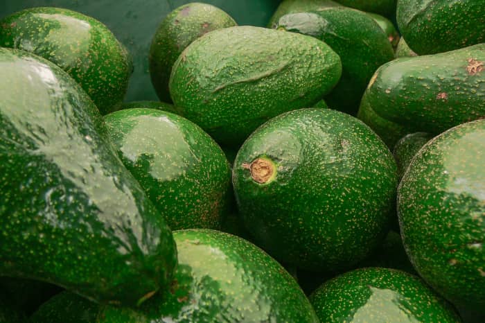 Picked-Avocados-700949404