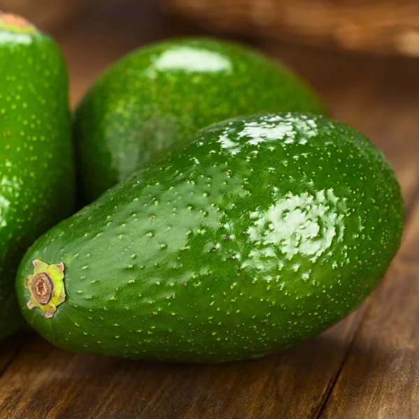 avocado-fuerte-wavf_2e34de8c-a7ff-4d8d-b980-4857b0c23e72_1200x-600x600