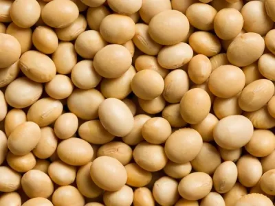 U975dx300