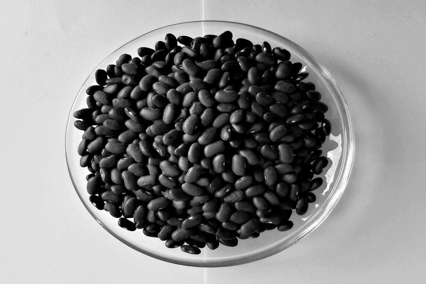 blackbeans12