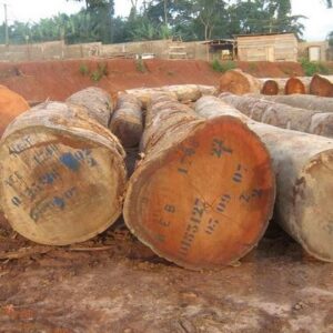 Bubinga Wood Logs