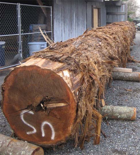 Cedar-Wood-Logs.jpg