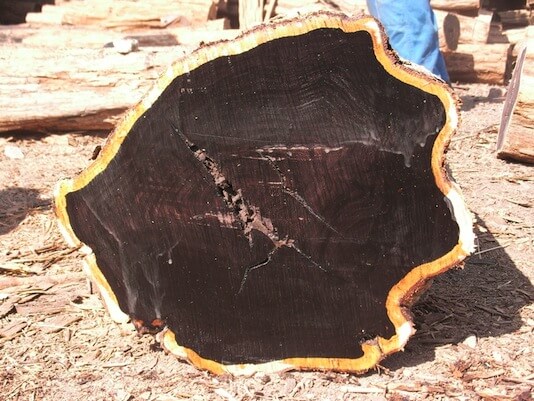 Ebony-Wood-Logs.jpg