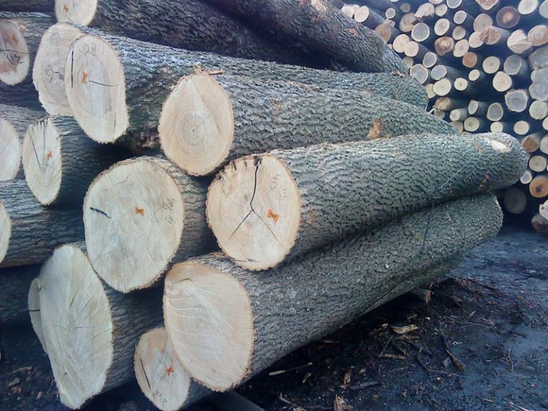 ash-logs-and-lumber-965789-768x576-1.jpg