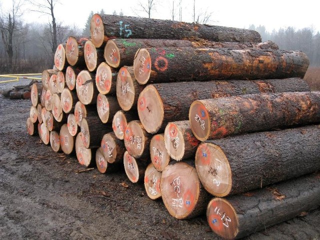 veneer-wood-logs.jpg